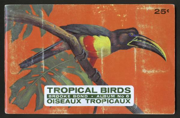 Brooke Bond Album Tropical Birds 1964 Red Rose Blue Ribbon 1
