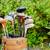 Golf Clubs and Golf Bags 2 thumbnail