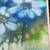 DIANA DENSLOW Listed Artist Original Signed Oil on Canvas "BLUE DAISY" 2 thumbnail