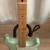 Fender Player Stratocaster Sea Foam Pearl MIM 11 thumbnail