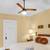 6 Glendale Pl. Unit 1 9 thumbnail