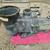 Jandy Pro Series ePump Variable Speed 2.7 HP 4 thumbnail