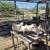 Laying hens 2 thumbnail