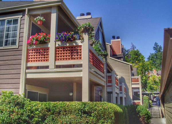 $1,550 / 1br - SAVE 50% on 1 MONTH - Cats & Dogs OK - Ceiling Fans, LED Lighting (Beaverton)64039222141569122