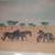 African Zebras on the Serengeti Plains - "2"Different Pieces for sale 1 thumbnail