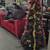 6 feet Xmas trees, assorted and in boxes 3 thumbnail