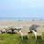 Beach Front Property 2 thumbnail