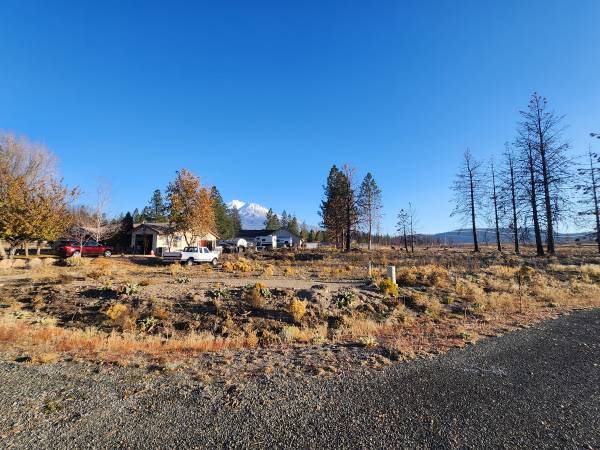 $5,500 Lot 116 on Buffalo in Lake Shastina on a dead end road (Lake Shastina)63678184813569120