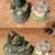 12X BEARS AND WOLF WOLVES FIGURES K'S COLLECTION ENESCO 7 thumbnail