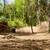 GNR Land Improvement - Excavation,  dirt work, land clearing and more! 12 thumbnail