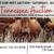 Farm animals for sale. 4 thumbnail