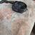 1995 Suzuki Quadrunner 250 parts 17 thumbnail