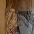 Wood House Door With Horse Carving 4 thumbnail
