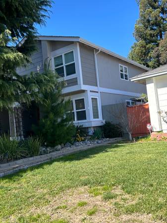 THINK HAPPY PAINTER 1