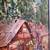 Amazing Painting by Listed Haitian Artist Fritz Bonnet (circa 1970's) 7 thumbnail