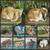 Bunny rabbits 1 thumbnail