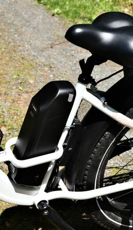 Rad Power Step-through Fat Tire E-Bike - $97562969128346753124