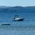 2001 Boston Whaler Dauntless 16 7 thumbnail