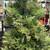 (2pc) Faux Christmas Trees in Wood Box Planters 4 thumbnail
