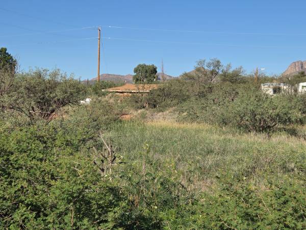 $49,000 3 ADJACENT LOTS IN WHETSTONE (Whetstone)63903422322818122