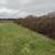 LAND CLEARING,TREE TRIMMING, GRASS CUTTING, BUSH TRIMMING, LANDSCAPING 10 thumbnail