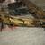 Horton 150 # Crossbow, arrows, tree stands and  extras 1 thumbnail