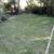Affordable weed pulling and lawn maintenance 10 thumbnail