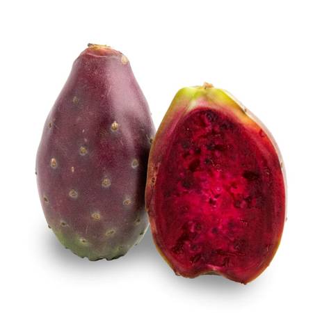 Flowering Prickly Pear Tree 1
