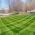 Affordable Lanscaping and tree removal service 22 thumbnail