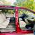 2015 Toyota Sienna Extra Clean 10 thumbnail