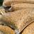 CHICKEN PIGEON DUCK QUAIL FEED SEED - Pickering 3 thumbnail