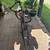 Schwinn Phocus 1400 4 thumbnail