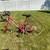 Vintage Saint Tropez Road Bicycle 1 thumbnail