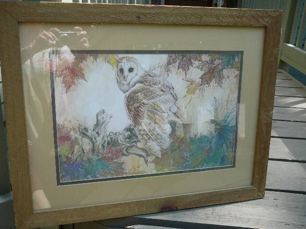 Framed Picture (Owl)... 1