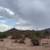 New Manufactured Home on 4.13 acres 9 thumbnail