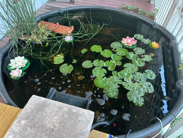 Seeking 200+ Gallon Stock Tank for Above-Ground Pond 1