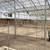 124 Acre Turnkey Farm 25,000 SF Greenhouse Commercial Well Barn & Shop 10 thumbnail