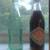 VINTAGE SODA, BEER BOTTLES 4 thumbnail