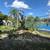 🌴HERNANDEZ TREE SERVICE&LANDSCAPING🍀 21 thumbnail