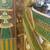 Vintage gold Egyptian carved wood king throne chair 5 thumbnail