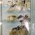 4 Pieces of the Chinese Traditiona Art Great Wall 3D Conch Carving 5 thumbnail