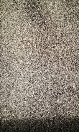 Carpet 1