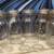 5 Vintage Atlas Quart Jars ($15 each) 1 thumbnail