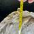 Faux Wood Resin Horse Head Sculpture 9 thumbnail
