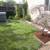 ARNULFO CANO Gardening Services (Best prices in the area) 6 thumbnail