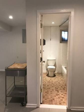 $3,000 / 1br - 800ft2 - Sótano inglés / casa adosada de 1 dormitorio en distrito declarado monumento / lavadora / jardín (Brooklyn)63862609864705123