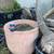 Yard Art -  fossils, petrified wood, saguaro cactus skeleton, ironwood 8 thumbnail