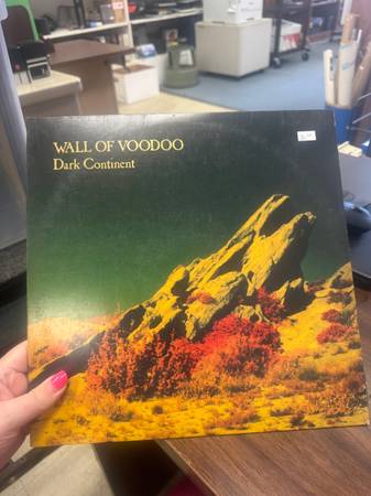 Wall Of Voodoo Record 1