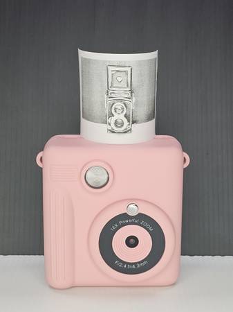 Vivitar Instant Print Digital Camera 1