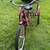 Schwinn Meridian 24” Adult Tricycle For Sale 3 thumbnail
